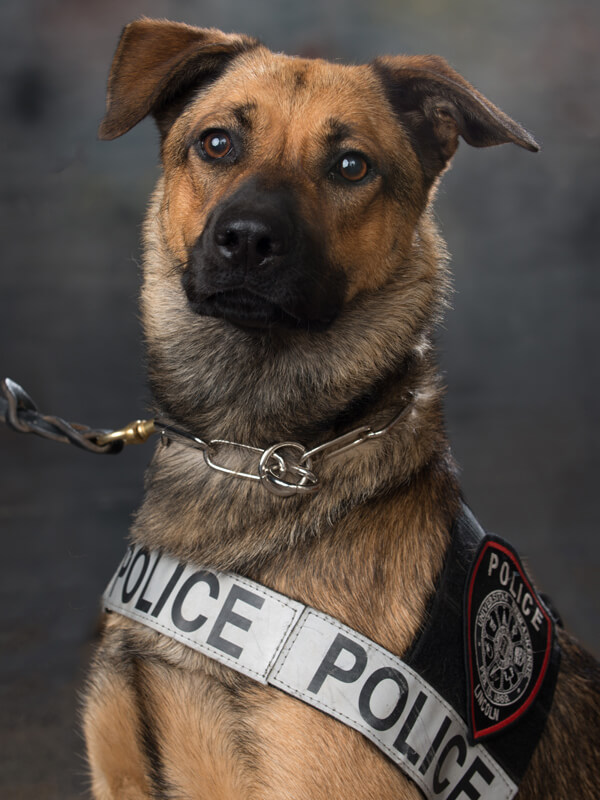 Portrait of Police Officer Layla.